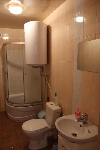 a small bathroom with a toilet and a sink at Садиба Лісовичок in Yaremche