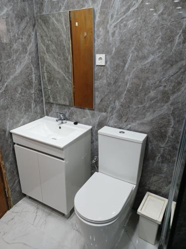 a bathroom with a toilet and a sink and a mirror at Oporto Cozy Rooms in Porto