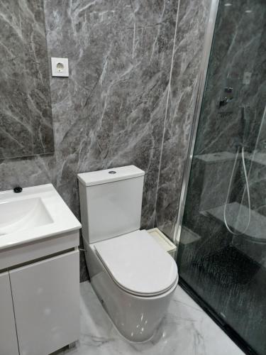 a bathroom with a toilet and a sink and a shower at Oporto Cozy Rooms in Porto