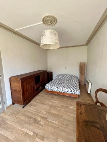 une chambre avec un lit et un lustre dans l'établissement 100metres du château au 116 Rue de la République vizille, à Vizille