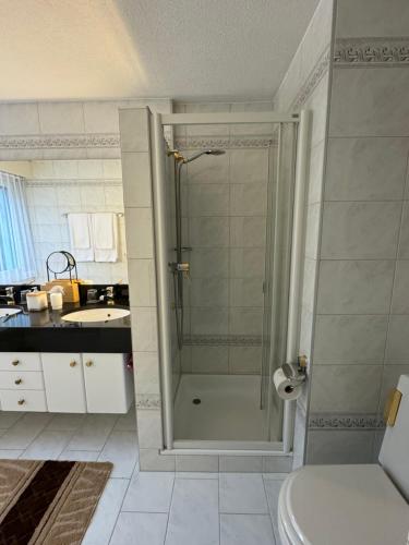 a bathroom with a shower with a toilet and a sink at Chlösterli in Luzern