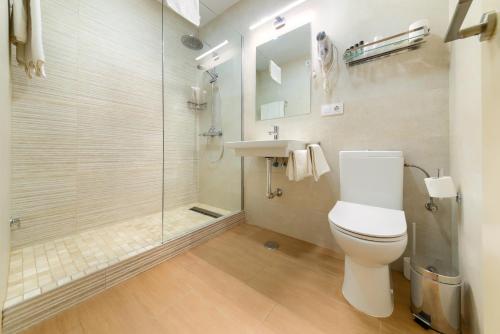 a bathroom with a shower and a toilet and a sink at Hotel El Convento in Arcos de la Frontera