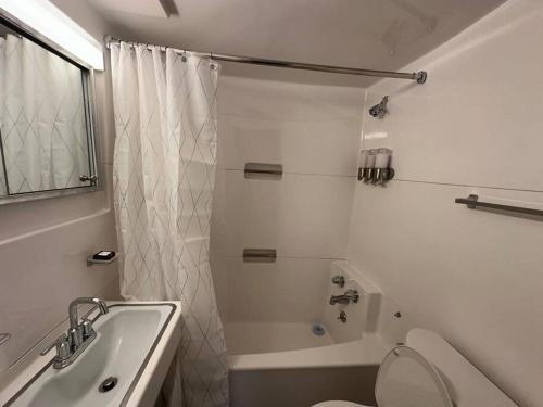 a white bathroom with a toilet and a shower at The Escape Pod Cheat Lake, Morgantown, Hot Tub, 2Bed, 2Bath in Morgantown