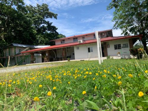 a field of flowers in front of a building at La Ceiba Panama in Coclé