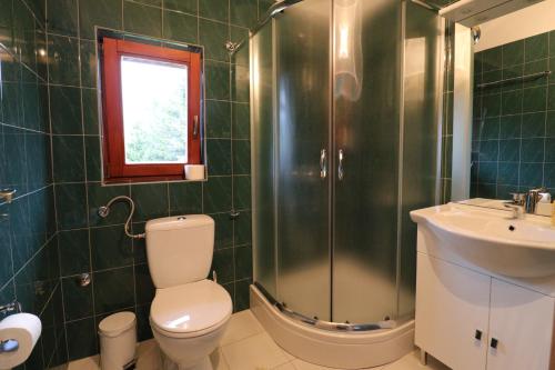 a bathroom with a shower and a toilet and a sink at apartman liker in Ravna Gora
