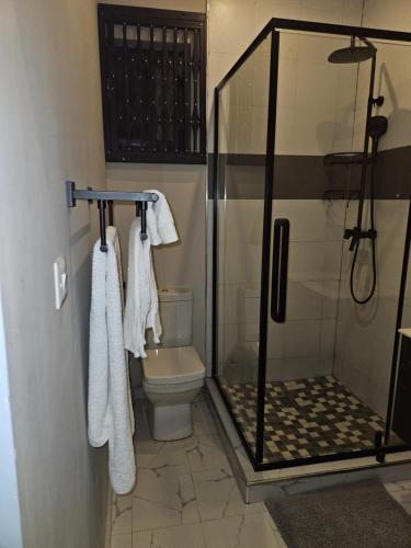 a bathroom with a shower and a toilet at Villa Serene Lusaka in Lusaka