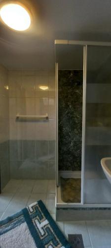 a bathroom with a glass shower and a sink at Táltos Vendégház in Szilvásvárad