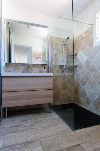 une salle de bain avec un lavabo et une douche dans l'établissement Le Logis d'Aude, à Carcassonne