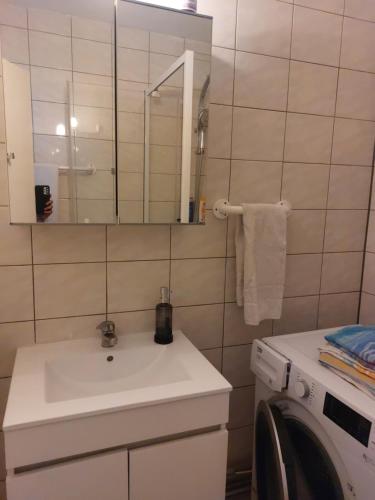 a bathroom with a sink and a washing machine at 3 Zimmer Apartment in Saint Louis, Nahe Euroairport in Saint-Louis