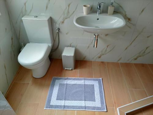 a bathroom with a toilet and a sink at Evmaria 2 in Ermoupoli