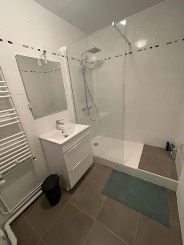 une salle de bain blanche avec une douche et un lavabo dans l'établissement Appartement Hyper centre - Agen, à Agen
