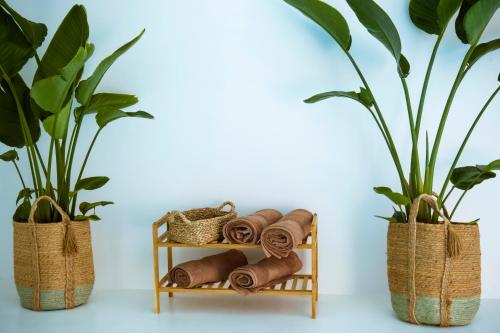 a bamboo shelf with rolled towels and two plants at La Casa de Leo in Garachico