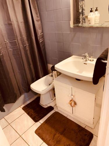 une salle de bain avec toilettes et lavabo dans l'établissement Le Moulin de la Mer, Grand appartement en face de la Piscine du Parc des sports, à Perpignan