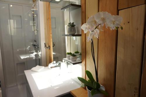 a bathroom with a sink and a white flower at Ma petite maison bretonne in Guimiliau