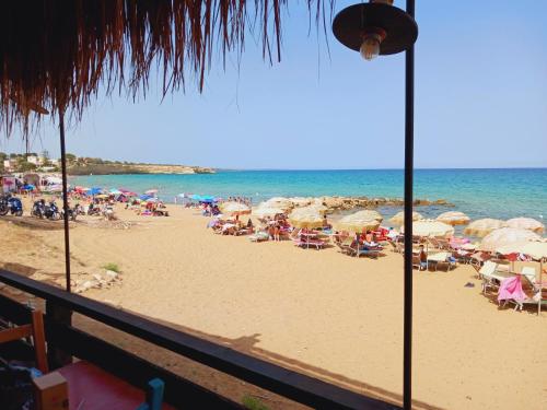 Φωτογραφία από το άλμπουμ του Villa del Commendatore Sirugo σε Avola