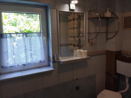 a bathroom with a window and a shower and a toilet at Green Hous agroturystyka in Pelnik