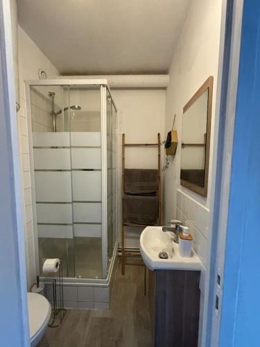 une salle de bain avec une douche, un lavabo et des toilettes dans l'établissement First, à Bourges