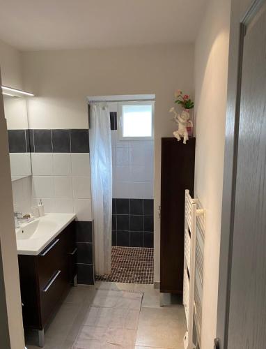 une salle de bain avec un lavabo et une douche dans l'établissement Les arbousiers de Murateddu, à Porto-Vecchio