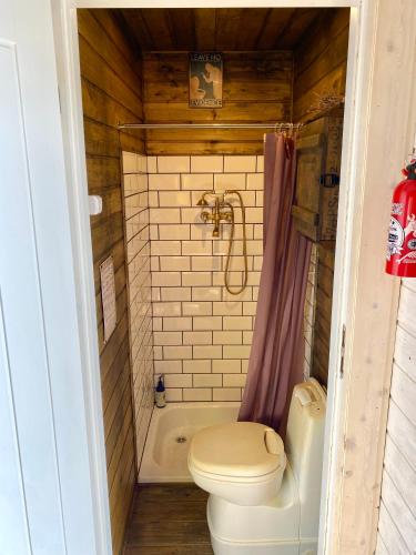 a small bathroom with a toilet and a tub at Pływający Domek in Przywidz