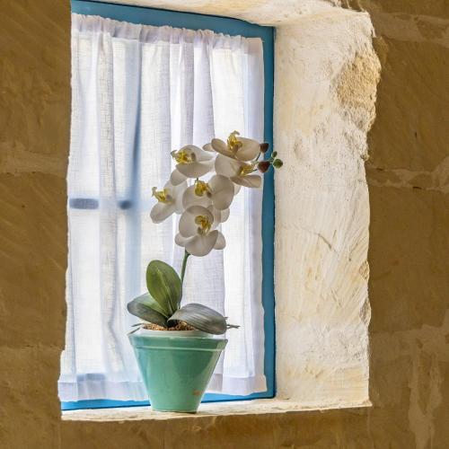 a plant in a green pot sitting in a window at Room 4 - Family room x 3 by Solea in Għarb