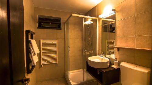 a bathroom with a sink and a shower at Pension Iara in Arieşeni