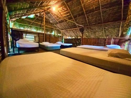 a room with two beds in a tent at The Humpback Turtle in El Valle