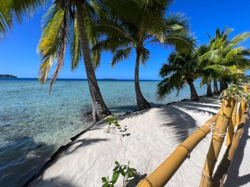 a beach with palm trees and the water at Morning Sun Place Tahaa in Taha’a