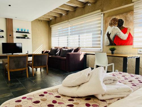 a living room with a couch and a table at La Sofia Apart & Wines in Mendoza
