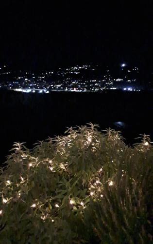 a view of the ocean at night with lights at Il Paradiso all'improvviso in Vezzano Ligure