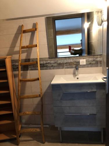 La salle de bains est pourvue d'un lavabo et d'une échelle à côté d'un miroir. dans l'établissement Kinsman sur Moment-Ardèche-com, aux Vans