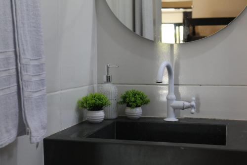 a bathroom sink with two potted plants and a mirror at casa com bela vista em Bragança Paulista in Bragança Paulista