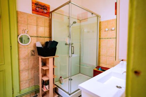 une salle de bain avec une douche en verre et un lavabo dans l'établissement Le St Amour Élégant 2 chambres *Wifi/Super Centre*, à Besançon