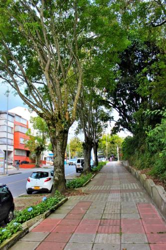 a sidewalk with trees and cars on a street at Hermoso apartaestudio Zona Rosa de Milan in Manizales
