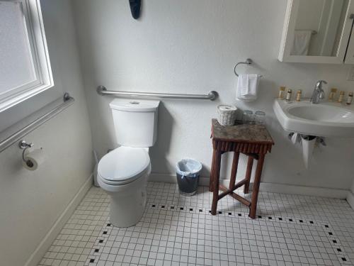 a bathroom with a toilet and a sink at Guerneville Lodge in Guerneville