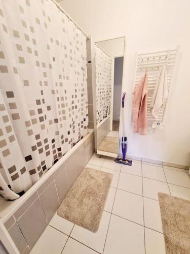 La salle de bains est pourvue d'un miroir et de 2 tapis. dans l'établissement Superbe appartement au pied du RER A et l'Arena, à Nanterre