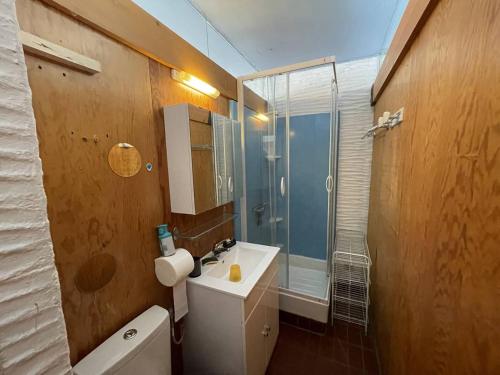 une salle de bain avec toilettes, lavabo et douche dans l'établissement Saint-Cyprien : T2 confortable en bord de mer avec parking et animaux admis - FR-1-106-106, à Saint-Cyprien