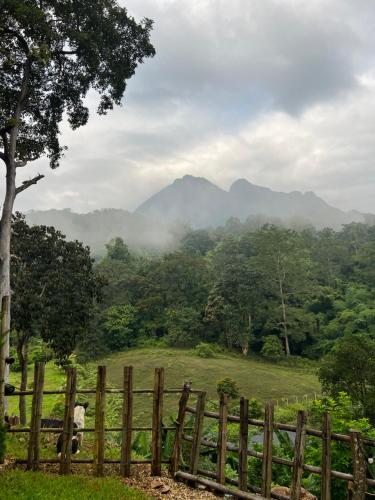 a fence in front of a field with mountains in the background at Sky The Campers in Chiang Dao