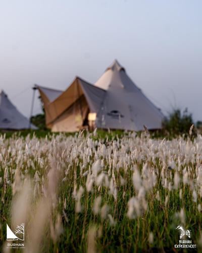 Příroda nedaleko luxury tent