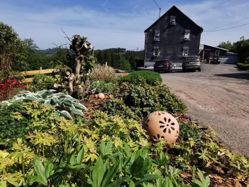 Zahrada ubytování schöne Ferienwohnung im Sauerland