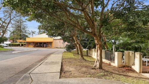 a tree on the side of a street with a building at Alemar Close To Beach, Shops and Cafes Accom Holidays in Avoca Beach