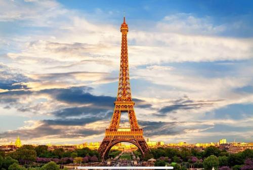 Magnifique appartement Tour Eiffel