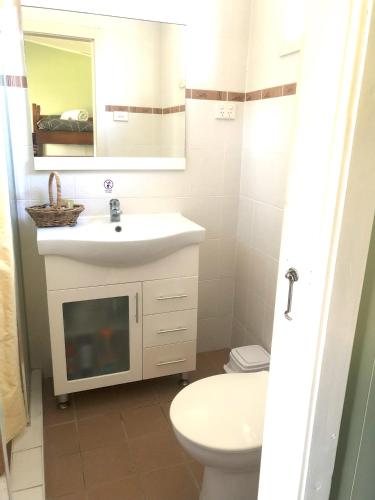 a bathroom with a sink and a toilet and a mirror at Yarrabin Country Retreat in OʼConnell