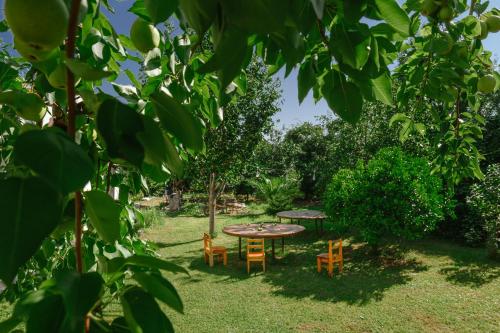 a table and chairs in a yard with trees at Senima's paradise - Pool & Cottages in Batumi