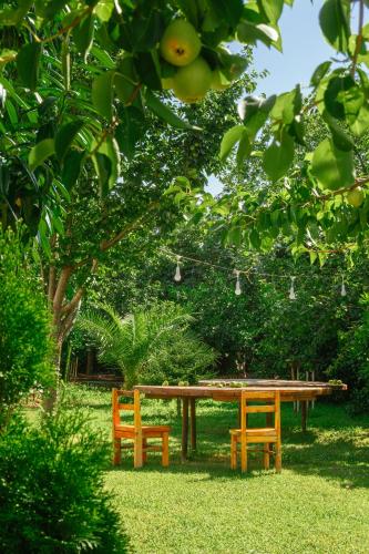 a picnic table and two benches under a tree at Senima's paradise - Pool & Cottages in Batumi