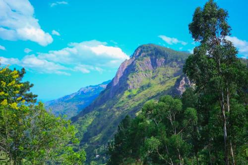 a mountain with trees in front of it at Beyond Nomad Luxury Hostel in Ella