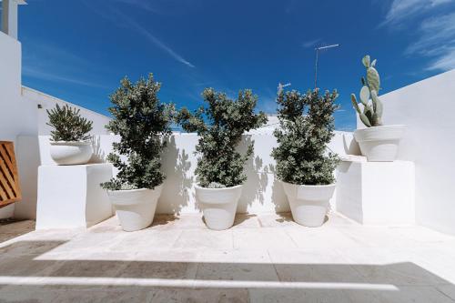 a row of potted plants on a white wall at Infinito Bianco in Polignano a Mare