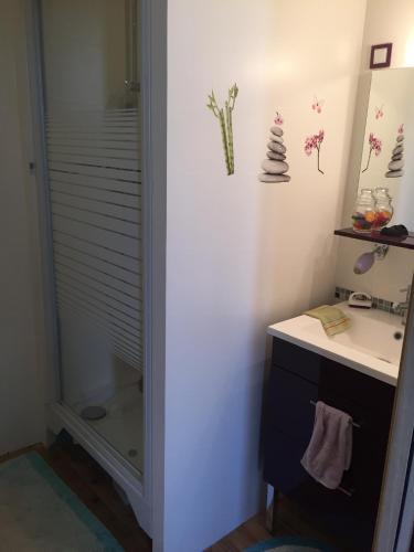 une salle de bain avec douche et lavabo dans l'établissement Chambre chez l'habitant, Au moulin du Bonheur, à Le Bourdet