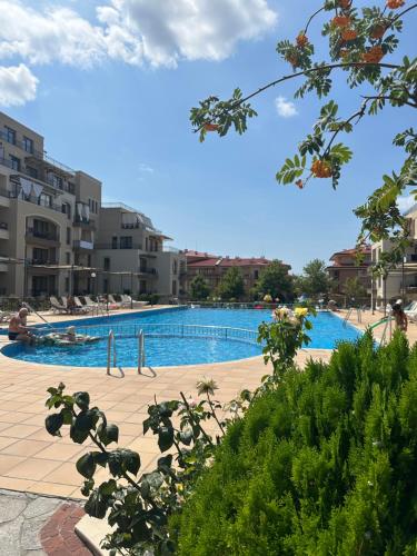 Πισίνα στο ή κοντά στο Sveti vlas apartament Sorrento Sole Mare V&D Luxury Style Apartment Свети-влас апартамент студио