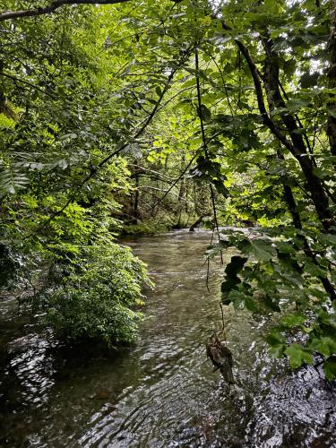 a river with trees in the middle of it at A Barreira -Lar da cima- in Folgoso