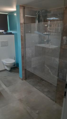 a bathroom with a shower and a toilet at La Tanière du loup in Malmedy
